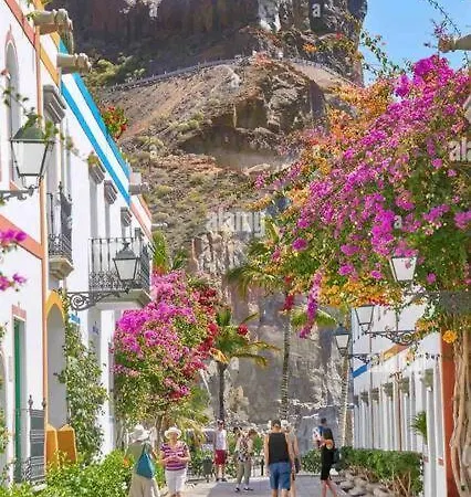 Encanto En Las Palmas *