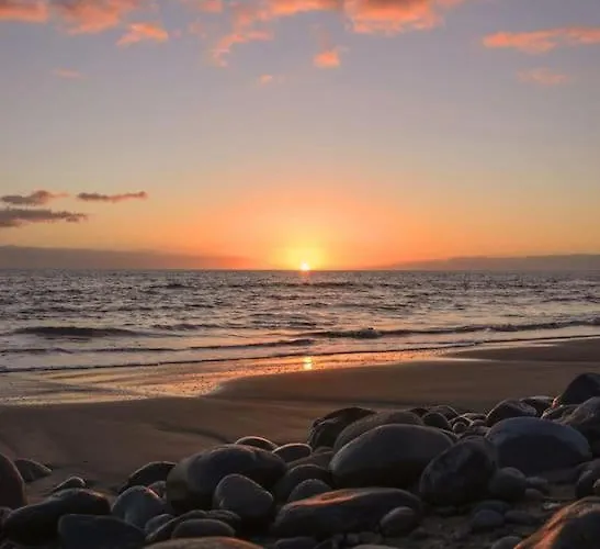 公寓 Luminoso Y Acogedor 大加那利岛拉斯帕尔马斯