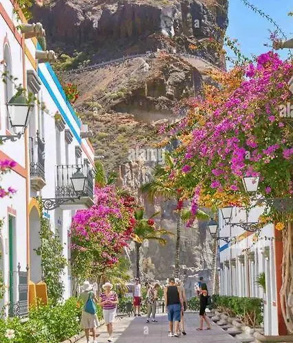 Luminoso Y Acogedor *